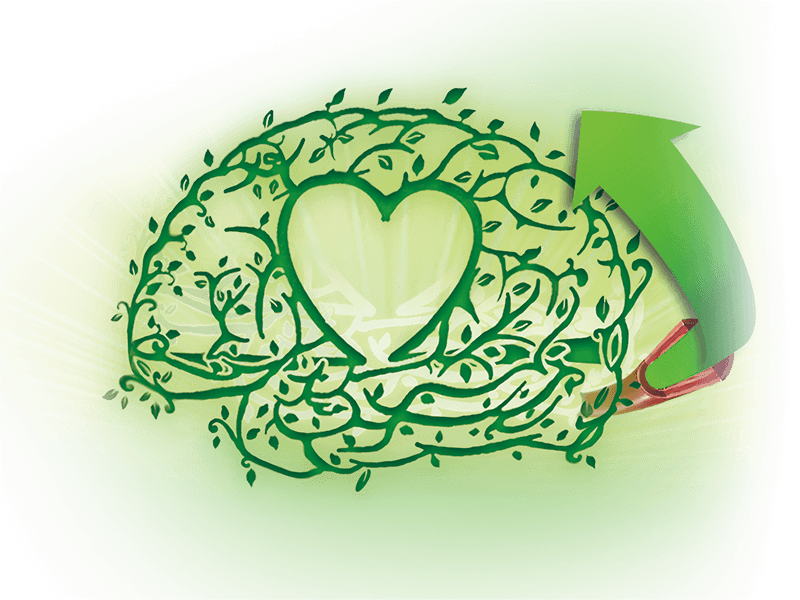 Cardiovascular and Cerebrovascular Disease Herbal Medicines