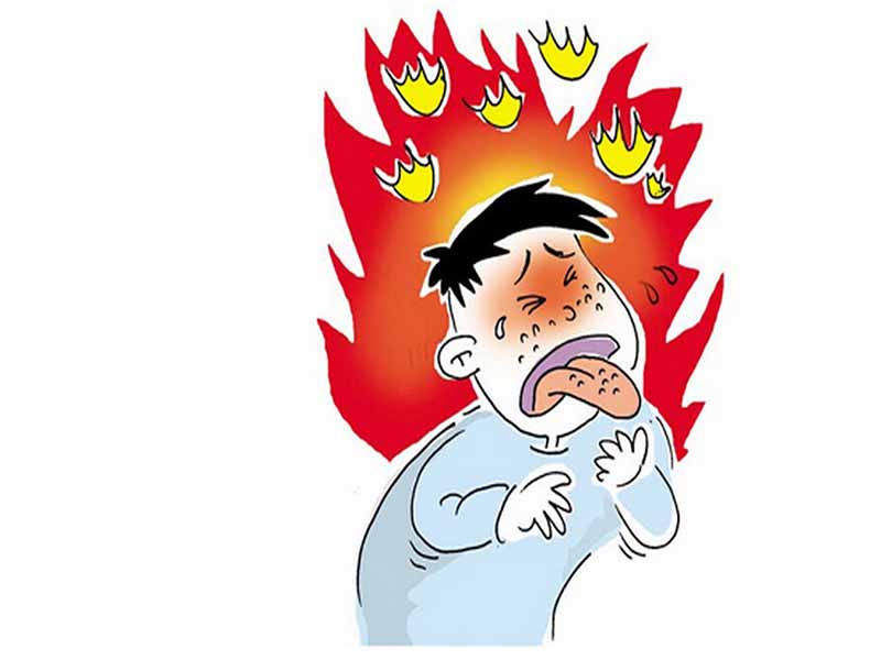 Clearing heat and purging fire Herbal Medicines